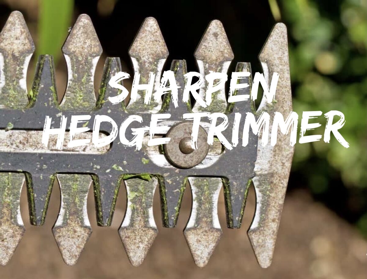 Step-by-Step Guide To Sharpen Hedge Trimmer - Orderly Home, Orderly Life